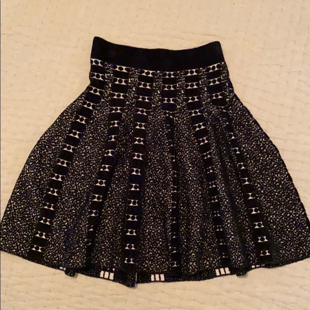 Moth (Anthropologie) skirt